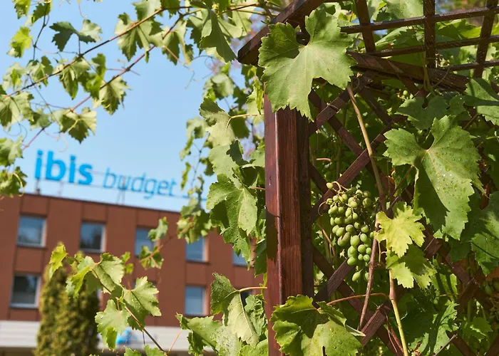 Ibis Budget Południe Hotel *
